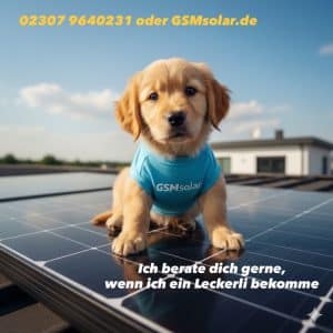 GSMsolar Solarmodul Welpe